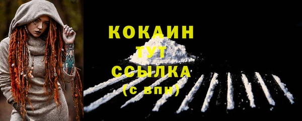 амф Кострома