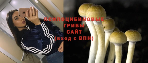бутират Нижневартовск
