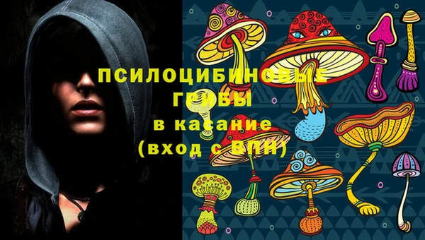 амф Кострома