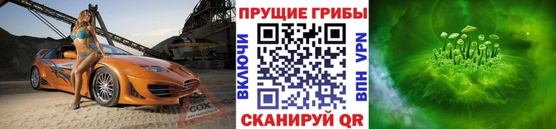 как найти закладки  Вилючинск  Галлюциногенные грибы прущие грибы 